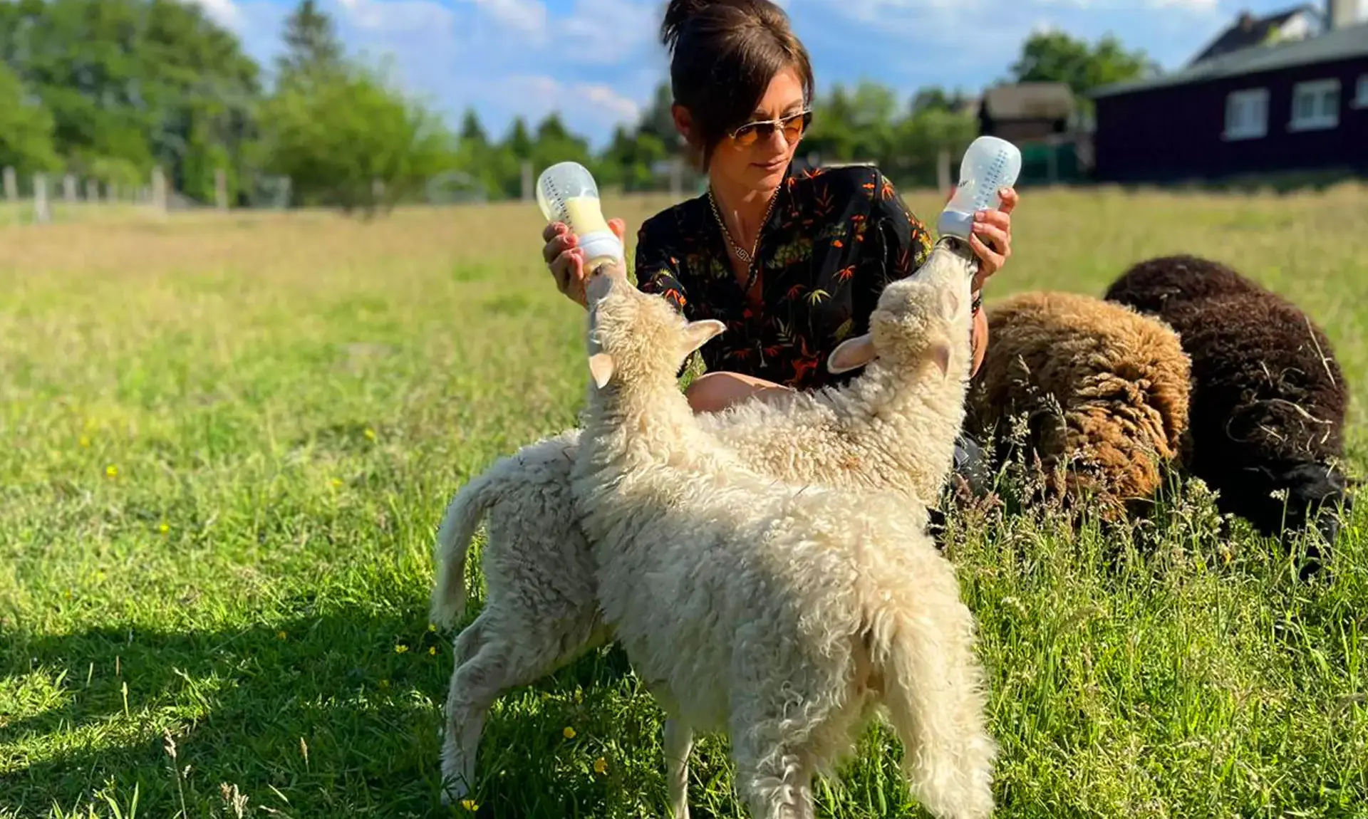 Familienbauernhof Schulz in Tornow