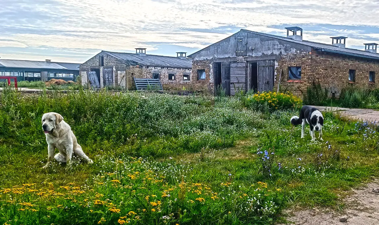 Familienbauernhof Schulz in Hohenfinow bei Eberswalde